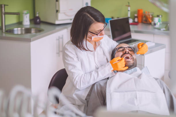 Best Chipped Tooth Repair Near Me  in Willard, UT